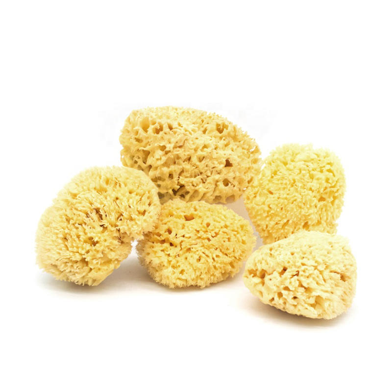 Natural ultra soft super-absorbent body scrub cleaning exfoliating honeycomb sea sponge baby bath sponge