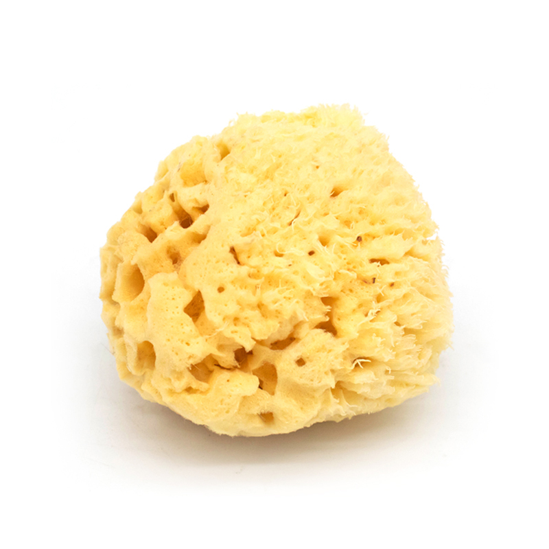 Natural ultra soft super-absorbent body scrub cleaning exfoliating honeycomb sea sponge baby bath sponge