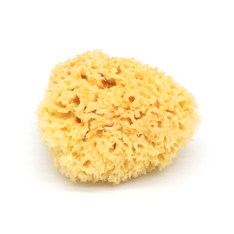 Natural ultra soft super-absorbent body scrub cleaning exfoliating honeycomb sea sponge baby bath sponge