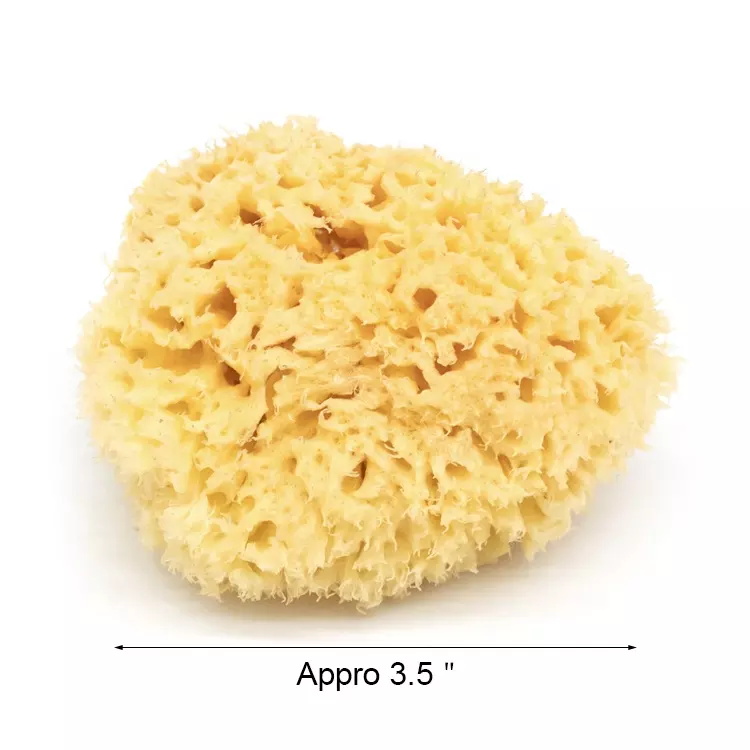 Eco-friendly super soft honeycomb sea sponges face cleansing baby body bath sponge 