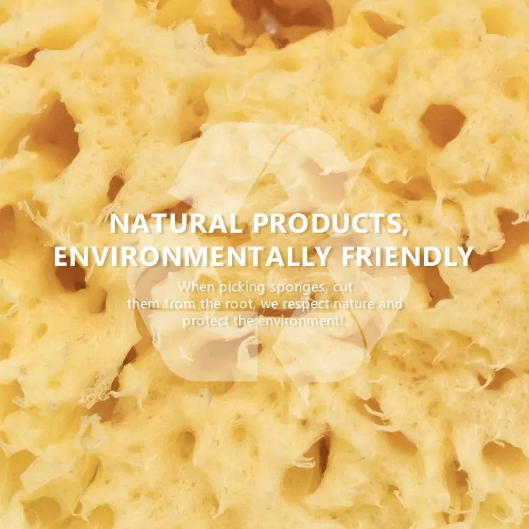 Eco-friendly super soft honeycomb sea sponges face cleansing baby body bath sponge 