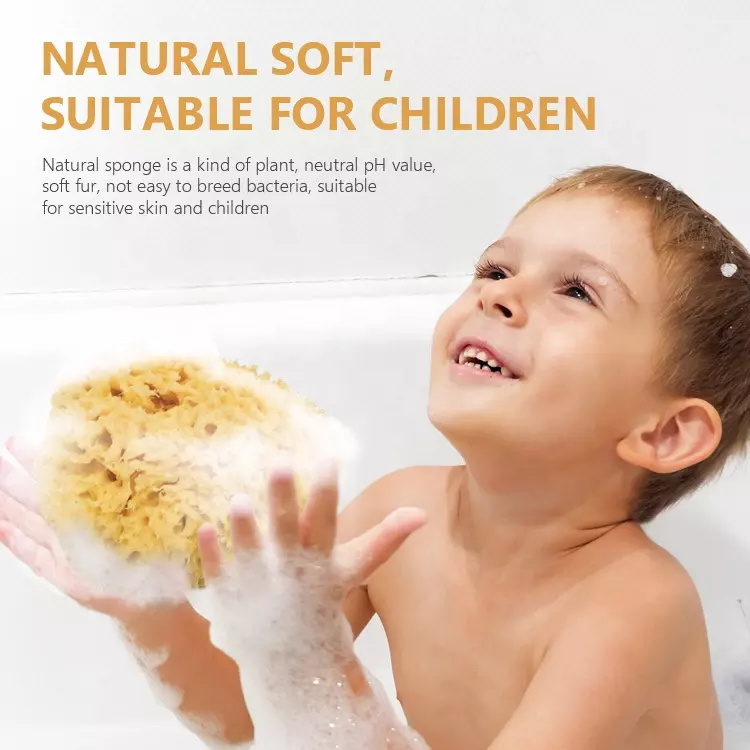 Eco-friendly super soft honeycomb sea sponges face cleansing baby body bath sponge 
