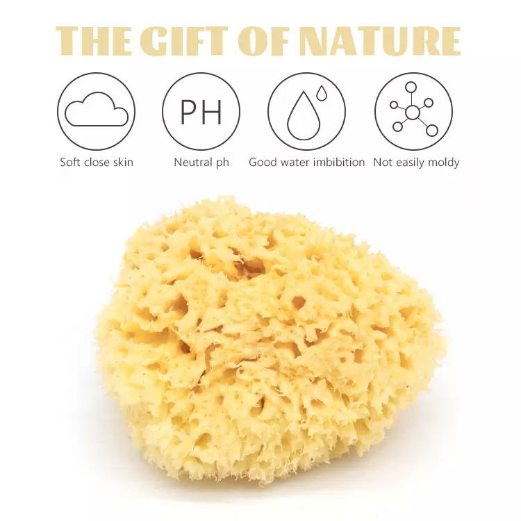 Eco-friendly super soft honeycomb sea sponges face cleansing baby body bath sponge 