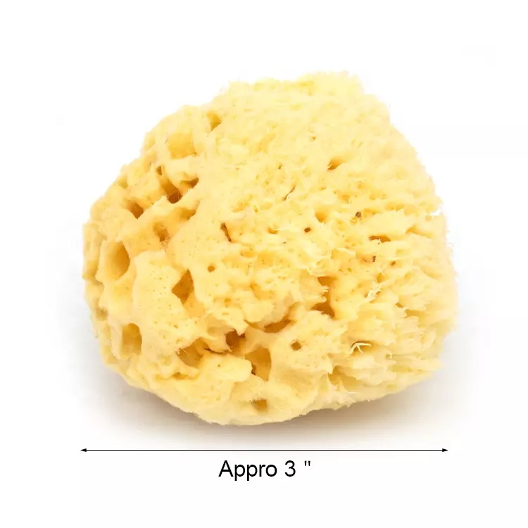 Natural super soft foam body face cleansing exfoliating sea sponge bath sponge