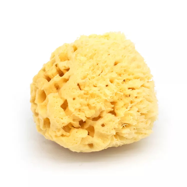 Natural super soft foam body face cleansing exfoliating sea sponge bath sponge