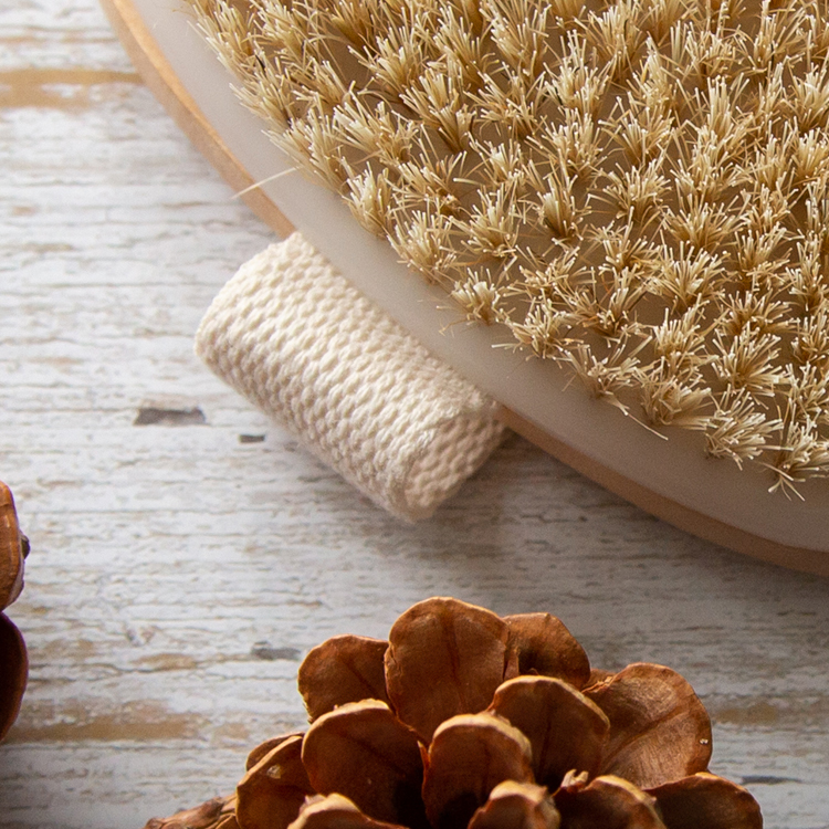Oval shape anti cellulite dry body scrub natural boars wood bath brush